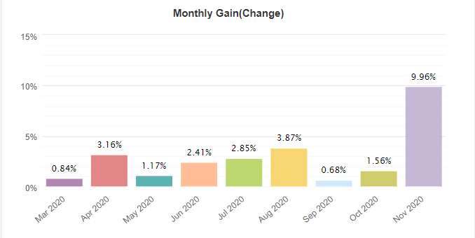 Ninja Scalper monthly gain