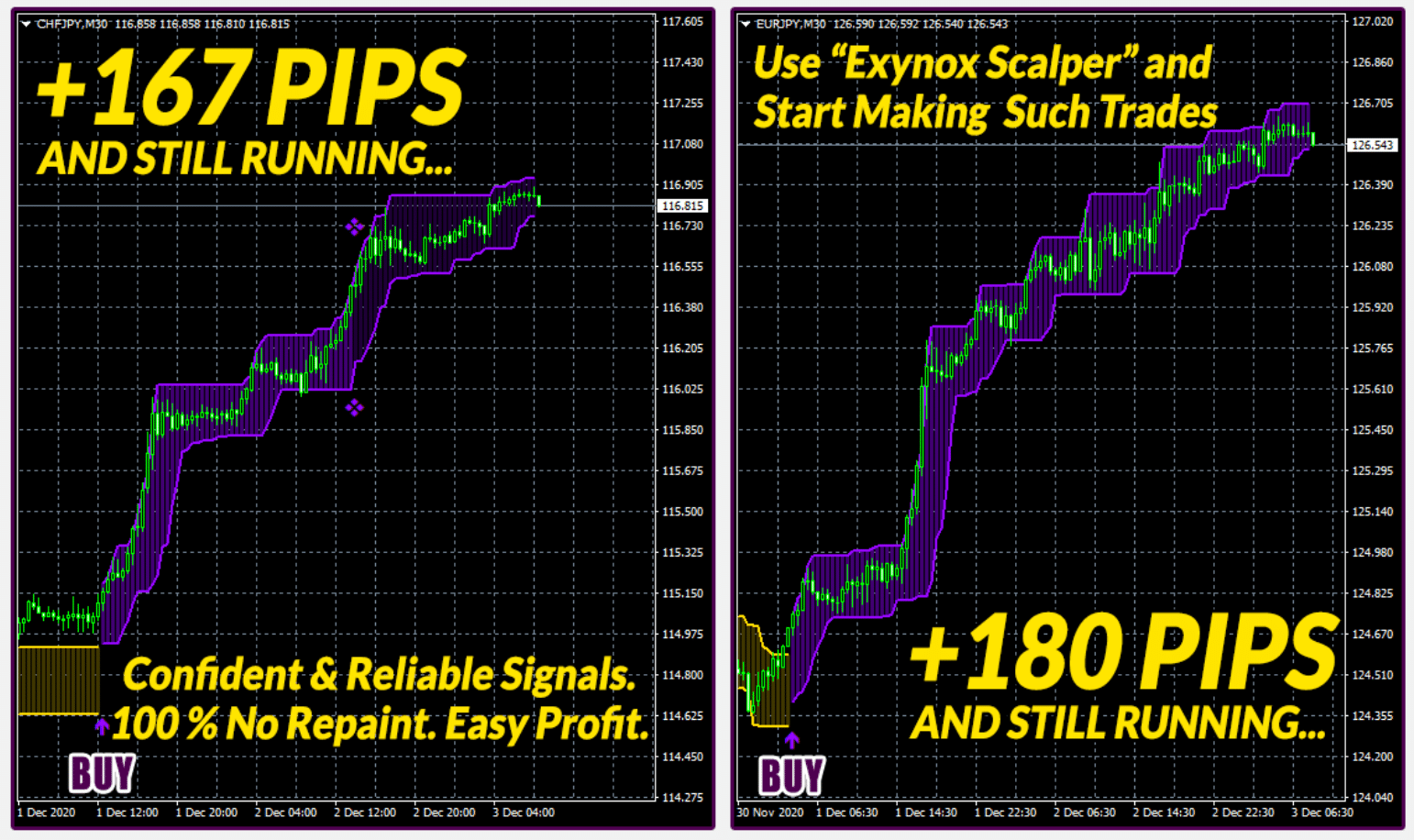 Exynox Scalper features