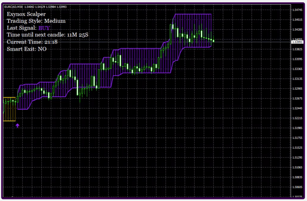 Exynox Scalper features