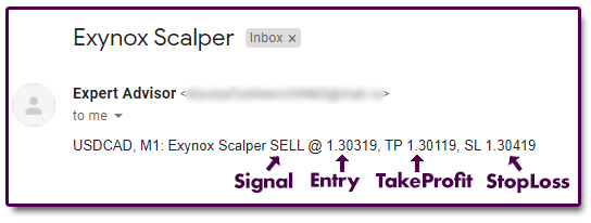 Exynox Scalper pop-up alert