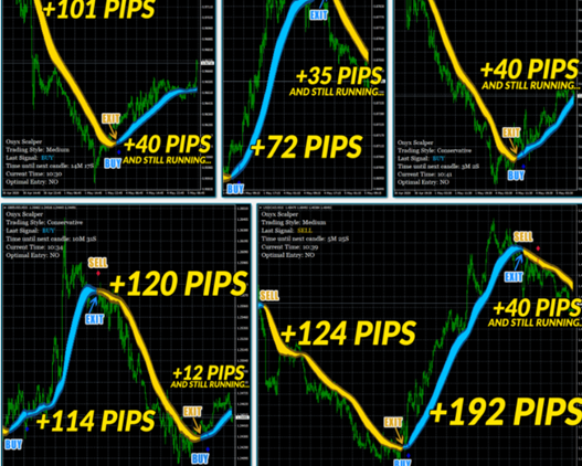 Onyx Scalper Trading Results