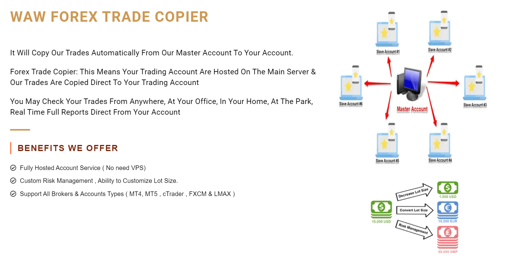 Waw Forex trade copier