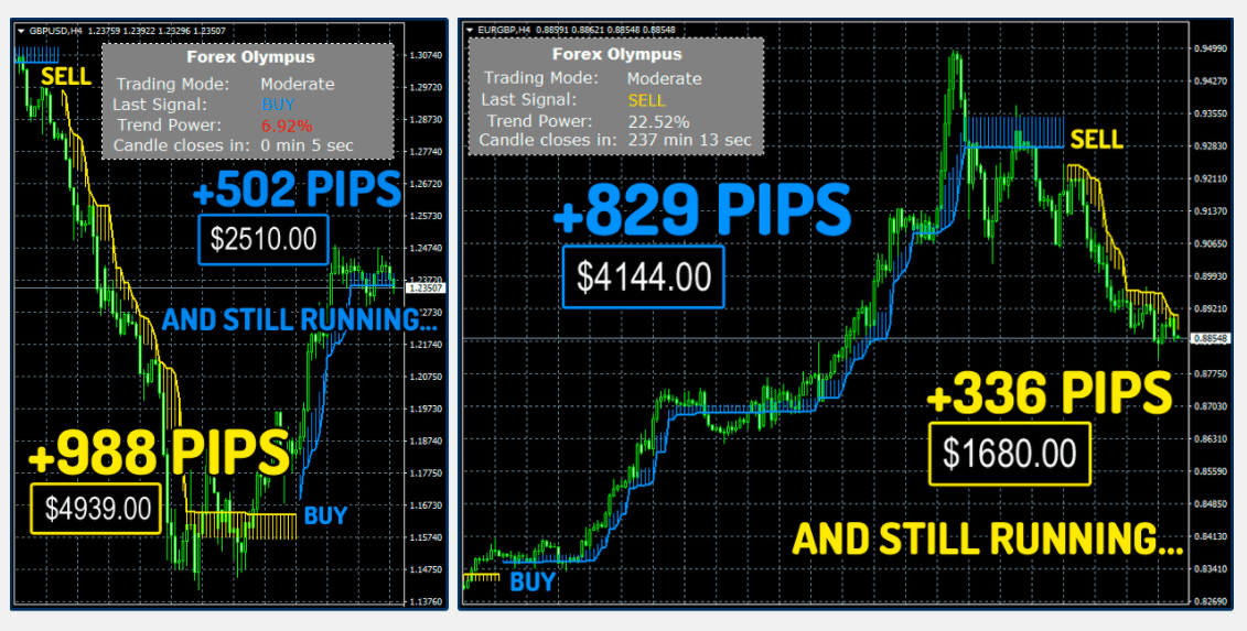 Forex Olympus Trading Results