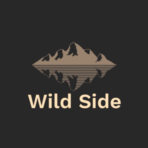 Read more about the article Wild Side Robot Review