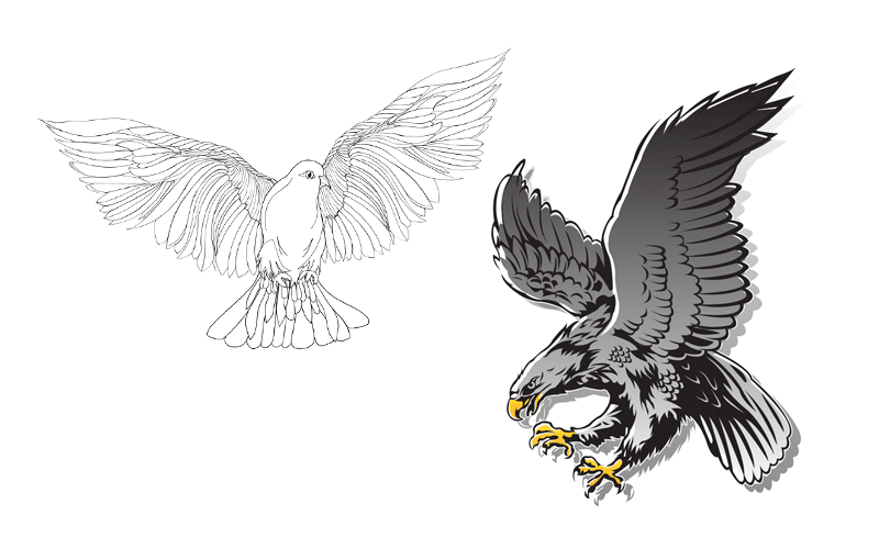 Hawks, Doves, and All the Interest for Interest Rates in Forex Forex