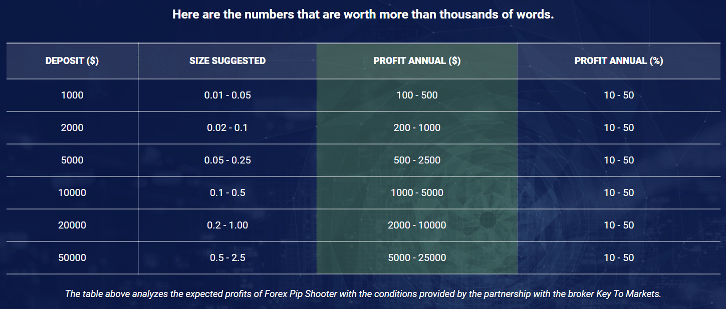 Forex Pip Shooter risk/profit calculator. 