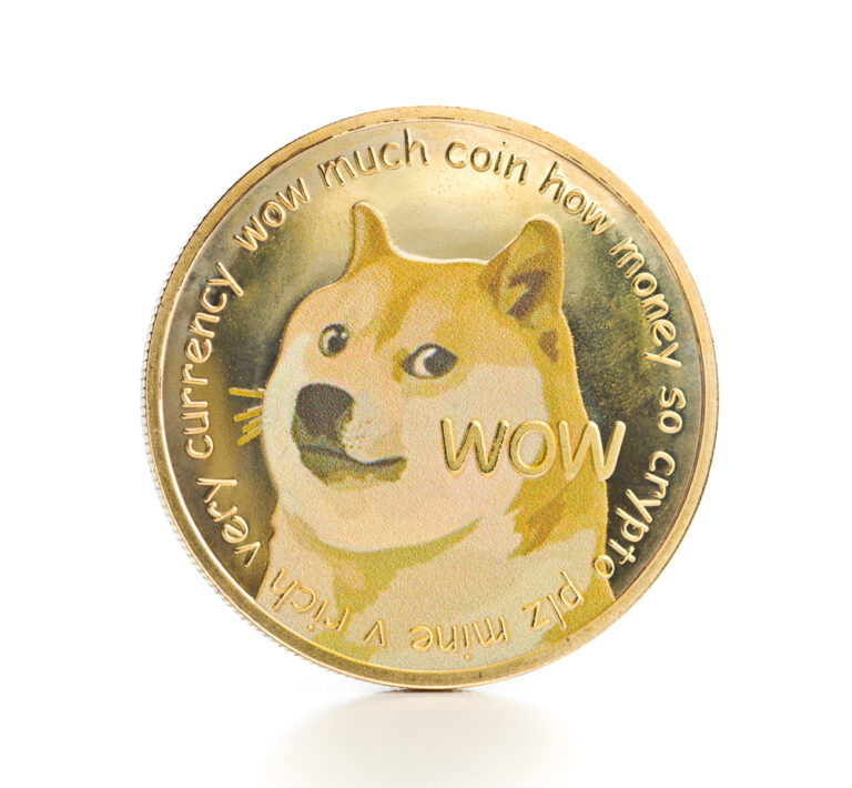 Read more about the article Top 4 DOGE Killers to Trade in 2022
