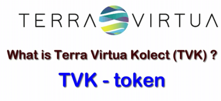 Introducing Terra Virtua