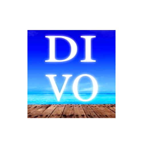 Read more about the article Divo EA Review