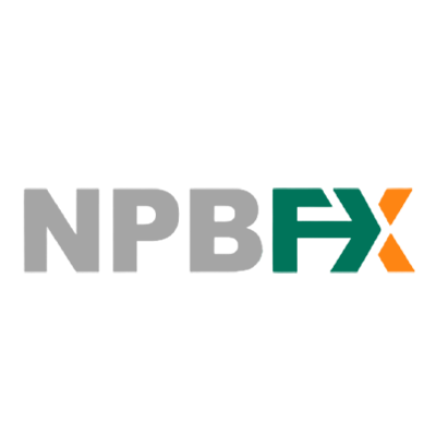 Read more about the article NPBFX Review